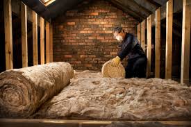 Best Basement Insulation  in Abram, TX